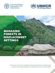 Managing forests in displacement settings